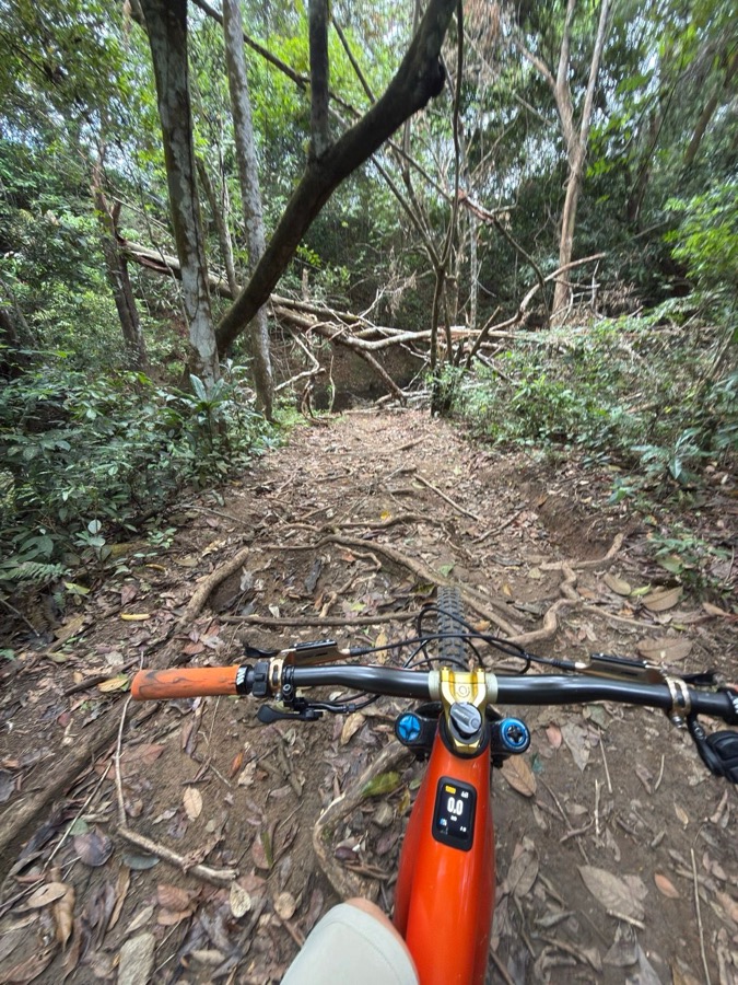 Foto real del ride en Cerro Azul